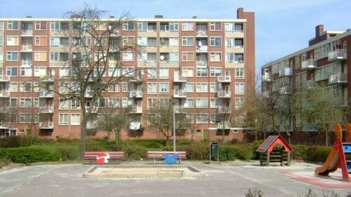 naoologse wijken